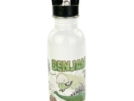 Personalized 20oz Stainless Steel Water Bottle with Straw - Dino Pals For Discount