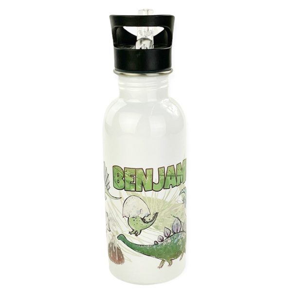 Personalized 20oz Stainless Steel Water Bottle with Straw - Dino Pals For Discount