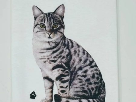 Pet Kitchen Towel Silver Tabby Online Hot Sale