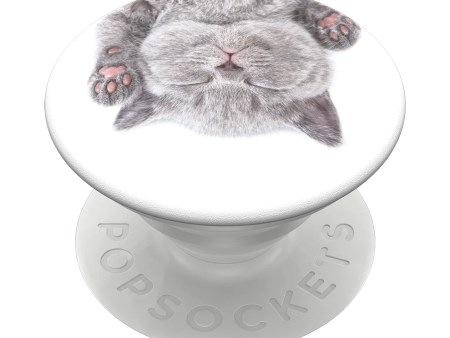 PopSockets Cat Nap For Sale