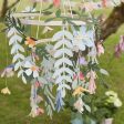 Paper Chandelier - Garden Online Hot Sale