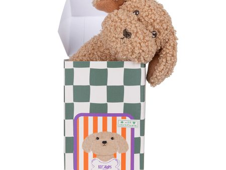 B.T. Chaps - Lionel The Labrador Rattle In Giftbox For Sale