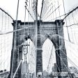 Brooklyn Bridge Cleaning Cloth Supply