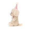 Teddy - Jollipop Puppy Online now