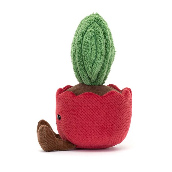 Teddy - Amuseables Kerrii Cactus on Sale