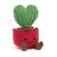 Teddy - Amuseables Kerrii Cactus on Sale