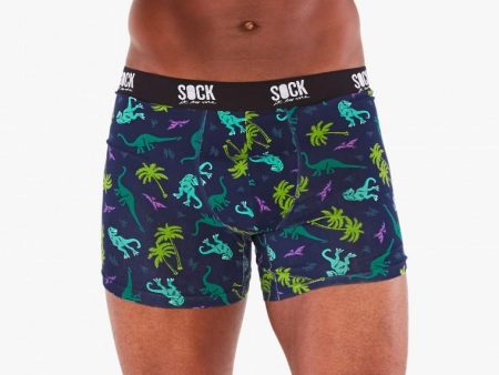 Men s Underwear Boxer Brief Land of the Dino Size Large For Discount