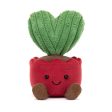 Teddy - Amuseables Kerrii Cactus on Sale