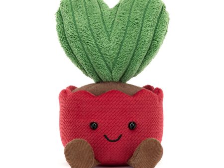 Teddy - Amuseables Kerrii Cactus on Sale