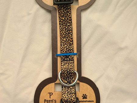 Dog Collar and Leash in Cheetah For Discount