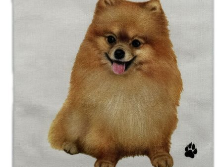 Pet Kitchen Towel Pomeranian Sale