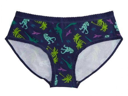 Women s Mid-Rise Bikini Underwear Land Of The Dino For Discount