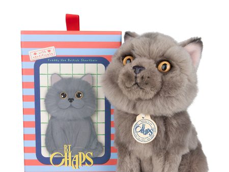 B.T. Chaps - Freddy The British Shorthair Floppy In Giftbox Online Sale