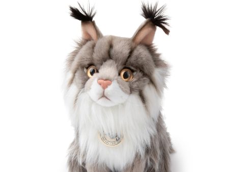 B.T. Chaps - Nancy the Norwegian Forest Cat Online