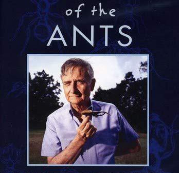 LORD OF THE ANTS - DVD-NOVA Online Hot Sale